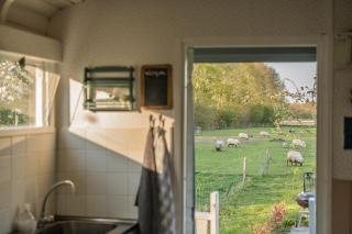 Pipowagen Elsebein Groningen Westerwolde unieke ligging met eigen tuin en vrij uitzicht over veld naar natuurgebied - Onstwedde - 3