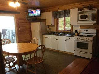 Sandy Shore Cottages Luxury Resort on Rice Lake - Harwood - 5
