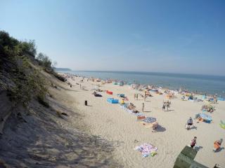 Delfinek - Władysławowo - 4