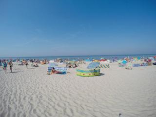 Delfinek - Władysławowo - 3