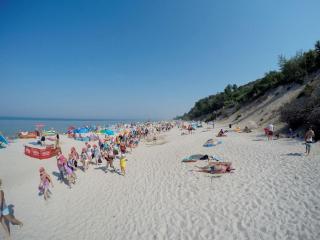 Delfinek - Władysławowo - 2