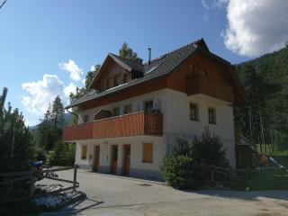 Apartmaji Lajf - Kranjska Gora - 9