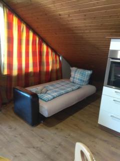 Appartment am Waldmattensee - Lahr - 2