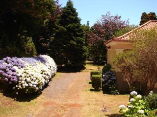 Casa da Lena - 5