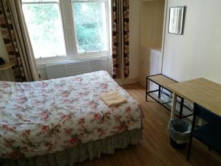 Buccleuch Terrace Flat - Edimburgo - 7