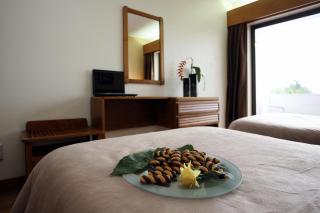 Hotel Meia Lua - 2