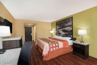 Super 8 by Wyndham Raleigh North East - Raleigh - 5