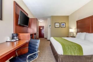 Comfort Inn Lenoir City-Knoxville - 3