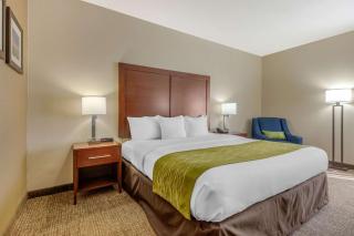 Comfort Inn Lenoir City-Knoxville - 4