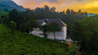 Tea Harvester - Munnar - 6