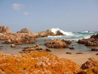 Vacanze in natura incontaminata "case vacanza Francesca-Gaia" - 1