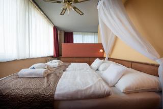 Therma Nea Dunajská Streda - 2
