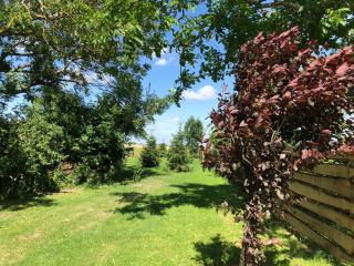 Appartement Alte Schmiede - 1