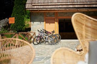 Boutique hotel Vila Planinka - Zgornje Jezersko - 8