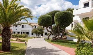 Hotel Palia Dolce Farniente 3 Sup - Cala d´Or - 5
