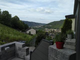 Kleines Moselchalet - 5