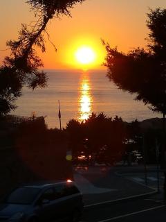 Le Rose Marine - Isola Rossa - 5