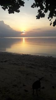 Jungle Hut Bungalows & Hotel - Haad Chao Phao - 7