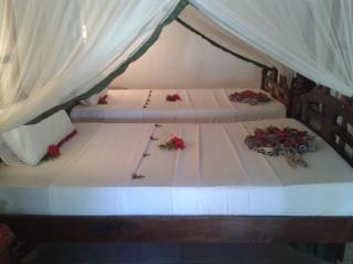 Kiwengwa Beach Resort - 2