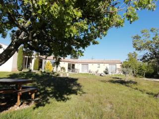 LA MAGUETTE - Sault-de-Vaucluse - 0