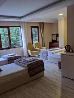 Aygün Suites Hotel&Bungalow UZUNGÖL - Uzungöl - 5