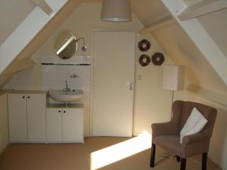 Het Friese Huisje - Boazum - 3