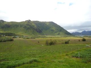 Peaceful Farm - Bøstad - 8