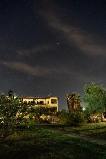 Villa Kalliopi - Gerakini - 0
