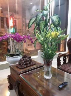 An Phuc Hotel - Vung Tau - 1
