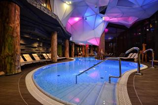 Hotel Żubrówka Spa & Wellness - Białowieża - 6