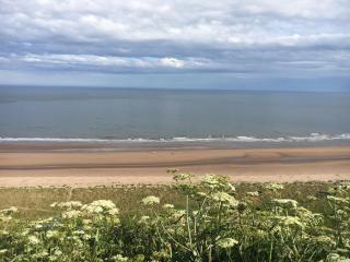 Dunnottar Woods Cottage - 8