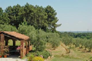 La Piaggia - Altopascio - 2
