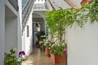 Capri Dreaming - Anacapri - 4