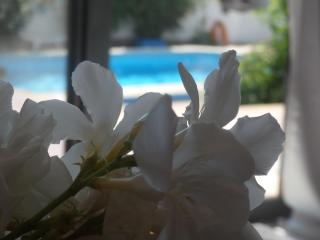 George apartments - Kallithea Halkidikis - 8