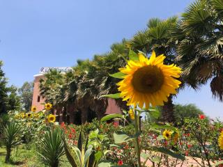 Riad Hamdani - Casablanca - 5