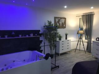 Lovely Apartment SPA & Sauna - Bourges - 6