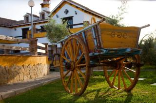 Hostal Los Pinos - 9