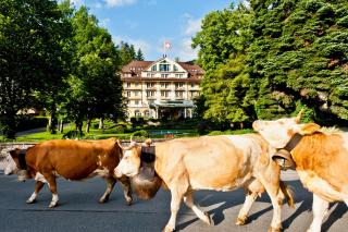 Le Grand Bellevue - Gstaad - 0