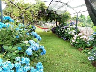 Quinta da Ribeirinha - Arouca - 3