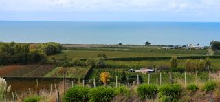 Chalet Swen Song - Napier - 9