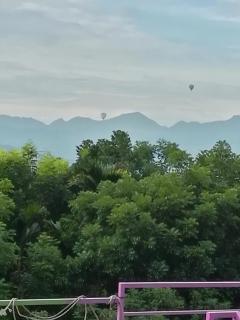 台東民宿 關山桃花心木民宿農場 - Guanshan - 3
