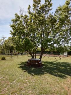 LA MAGUETTE - Sault-de-Vaucluse - 4