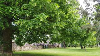 Le Clos de la Font Queroy - Vouthon - 3