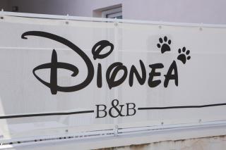 B&B Dionea - Santa Maria di Castellabate - 0