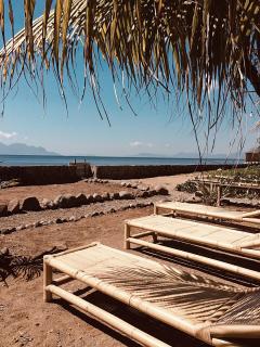 Pantai Paris Homestay - Maumere - 2