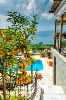 Villa Lake View - Ohrid - 3