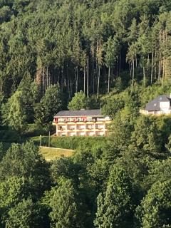 Hotel Berghof - Biersdorf am See - 7