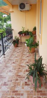 Yellow House - Vaja - 1