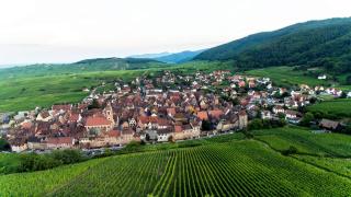 Le B. VINTAGE - Riquewihr - 7