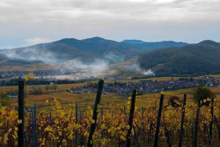 Le B. VINTAGE - Riquewihr - 5